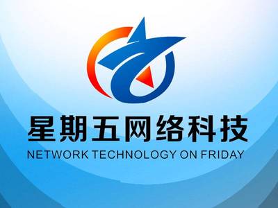 引領未來，共創數字新紀元——XX網絡科技開發公司簡介